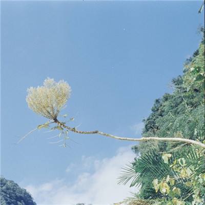 热血不灭手机版